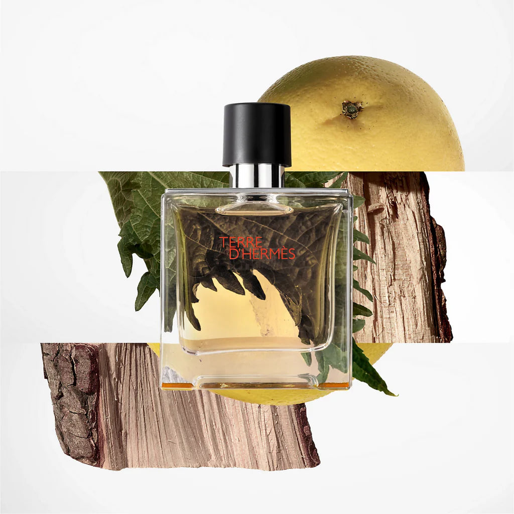 Hermes Terre D'Hermes Eau De Toilette For Men